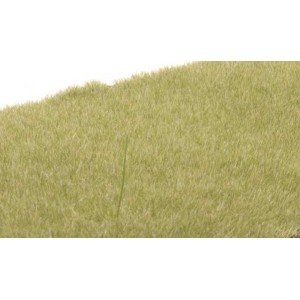 Woodland Scenics Static Grass 2mm